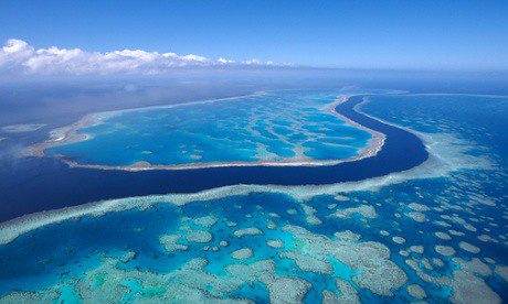 Aerial view of Great Barrier Reef, Australia