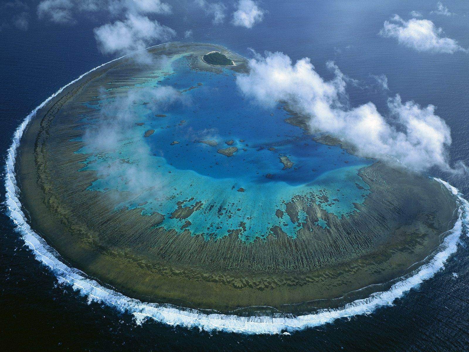 Lady Musgrave Island coral atoll, Great Barrier Reef Marine Park, Queensland, Australia
